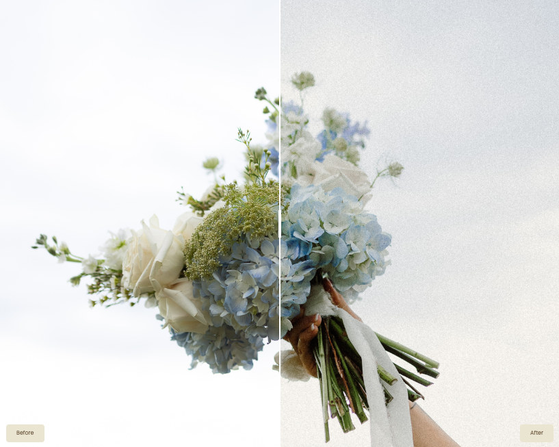 Lauren Ashleigh – Wildflower AI Preset Pack