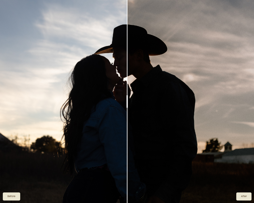 Lauren Ashleigh – Wildflower AI Preset Pack