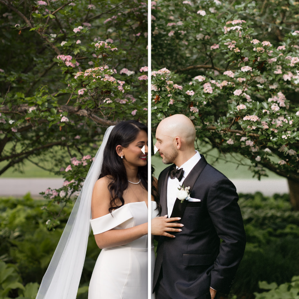 Rebecca Frank – RF Co. Presets