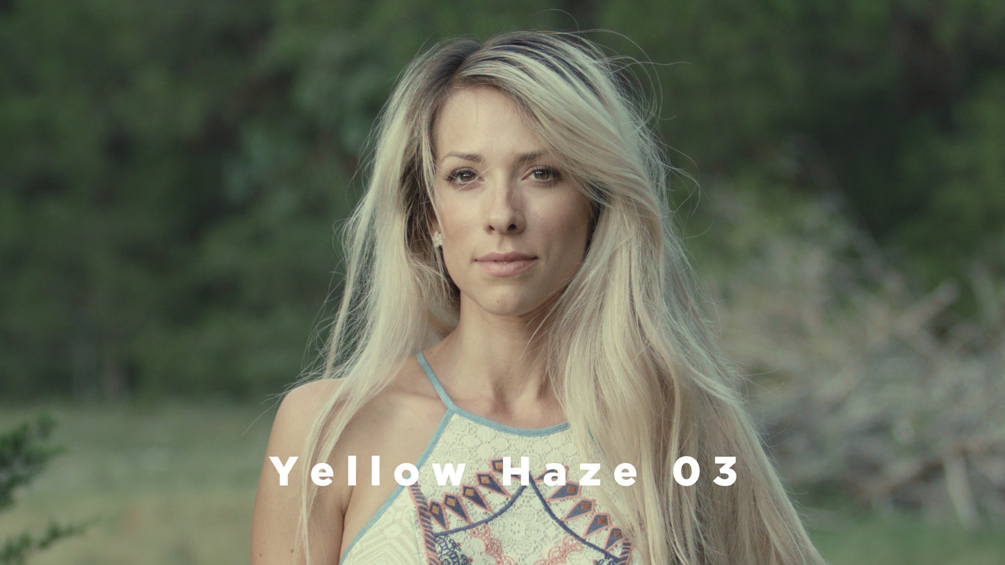 FILTERGRADE-Theo Miesner Swiss Video LUTs