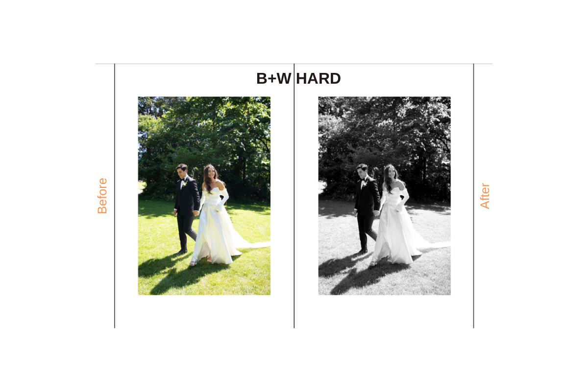 Tessa Shannon Presets - The Complete Pack Presets