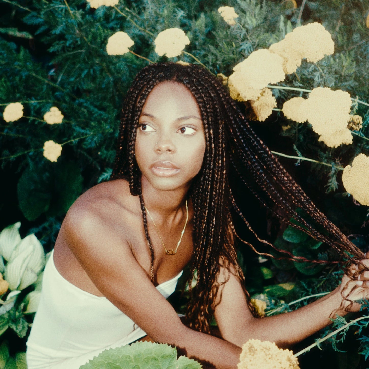 Analogica Lab – 16mm Fuji LUT