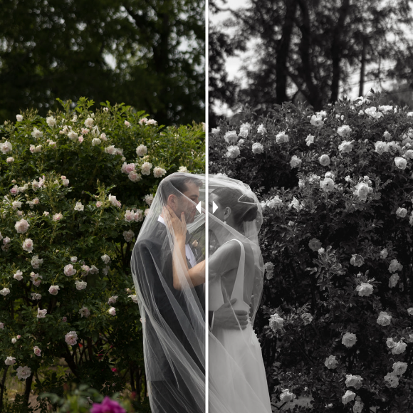 Rebecca Frank – RF Co. Presets